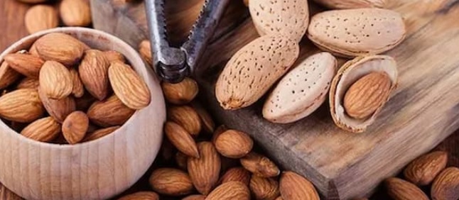 فروش و قیمت عمده مغز بادام سنگی شهرکرد